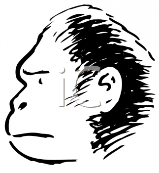 Primate Clipart