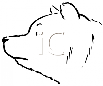 Bear Clipart