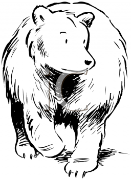 Bear Clipart