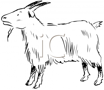 Farm Animal Clipart