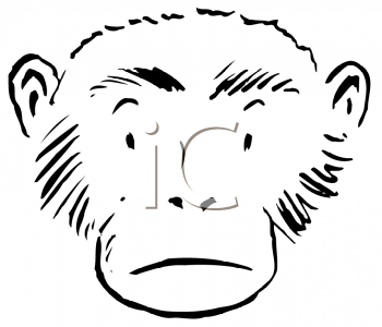 Primate Clipart