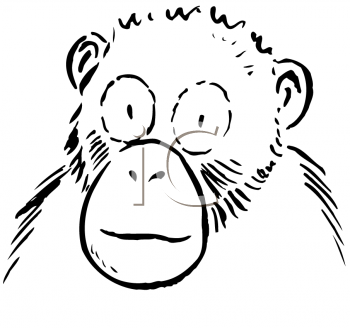 Primate Clipart