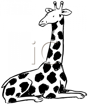 Mammal Clipart