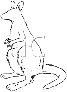 Marsupial Clipart