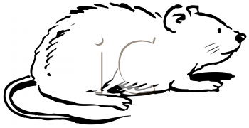 Rodent Clipart