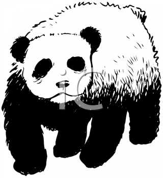 Bear Clipart