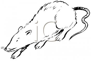 Rodent Clipart