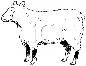 Livestock Clipart