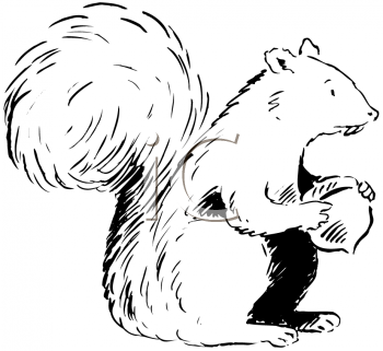 Rodent Clipart