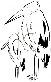 Bird Clipart