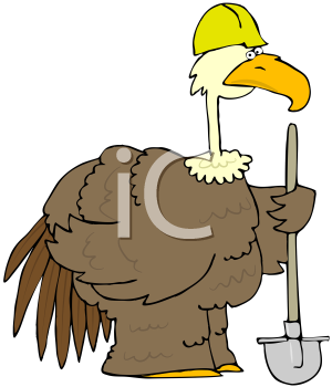 Bird Clipart