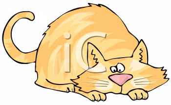 Pet Clipart