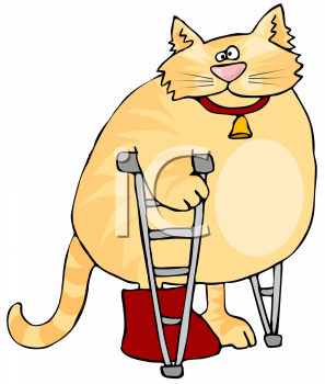 Pet Clipart