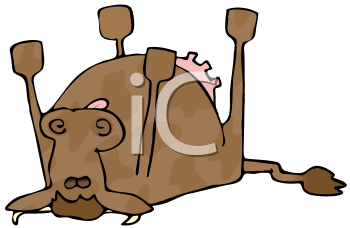 Farm Animal Clipart