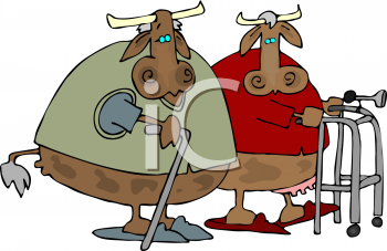 Farm Animal Clipart