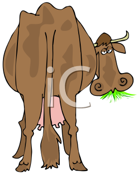 Livestock Clipart