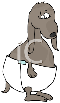 Pet Clipart