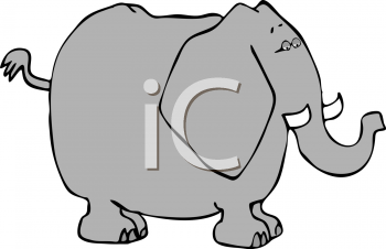 Mammal Clipart