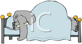 Mammal Clipart