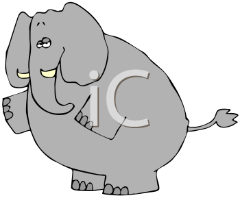 Mammal Clipart