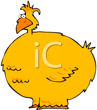 Bird Clipart