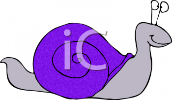 Mollusk Clipart