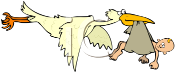 Bird Clipart