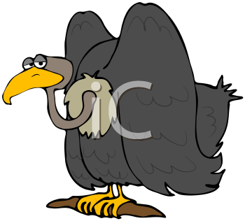 Bird Clipart