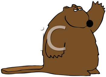 Rodent Clipart