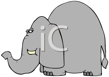 Mammal Clipart