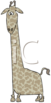 Mammal Clipart