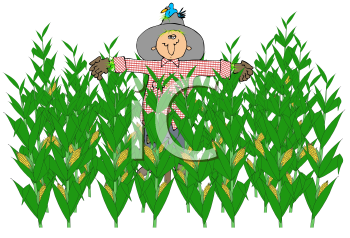 Farm Produce Clipart