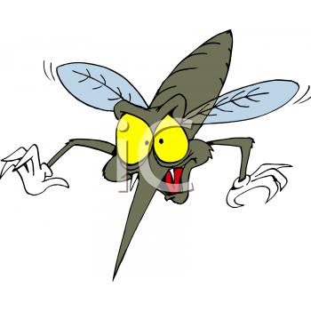 Insect Clipart