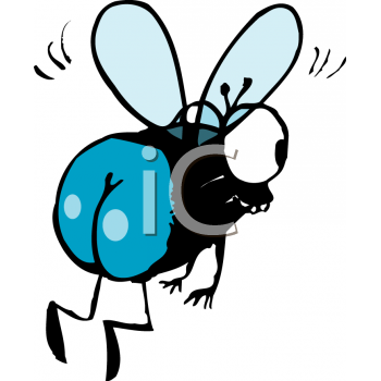 Insect Clipart