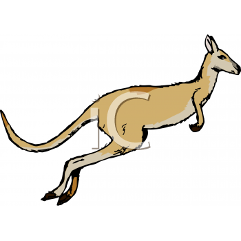 Marsupial Clipart