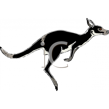 Marsupial Clipart