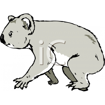 Marsupial Clipart