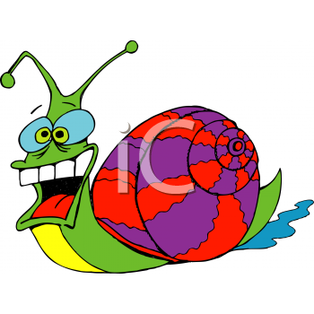 Mollusk Clipart