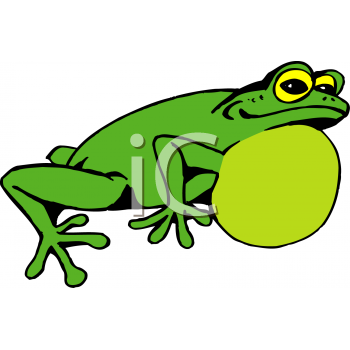 Amphibians Clipart