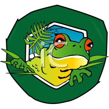 Amphibians Clipart