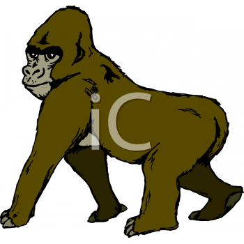 Primate Clipart