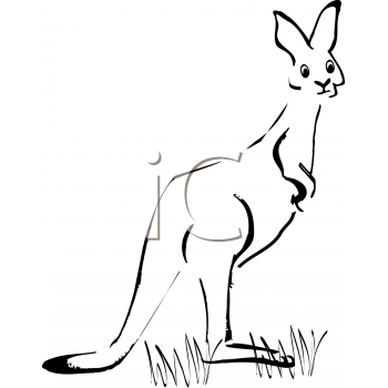 Marsupial Clipart