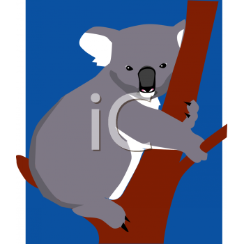 Marsupial Clipart