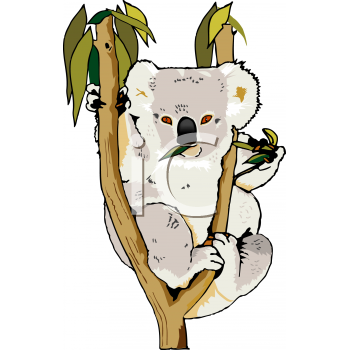 Marsupial Clipart