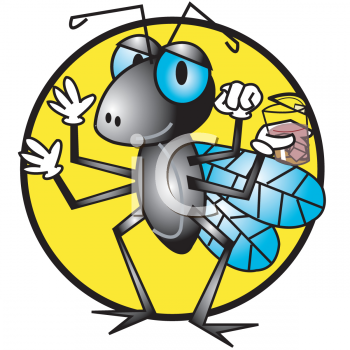 Insect Clipart