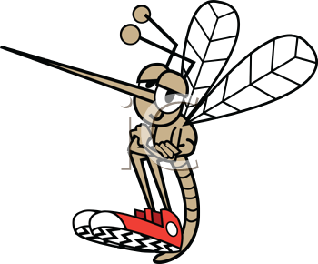 Insect Clipart