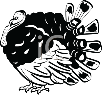 Bird Clipart