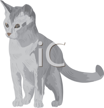 Pet Clipart