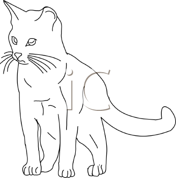 Pet Clipart