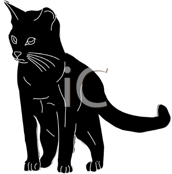 Pet Clipart